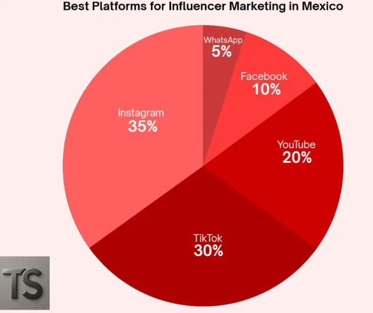 mexico brand influencer marketing statistics 2025