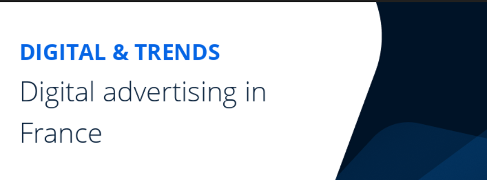 France brand influencer marketing statistics 2025