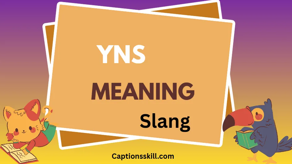 YNS-Meaning